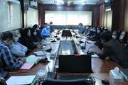 برگزاری جلسه اجرای طرح  محرومیت زدایی در شهرک امام حسین(ع) و برنامه تقویت شبکه های بهداشت و درمان در شبکه بهداشت و درمان اسلامشهر